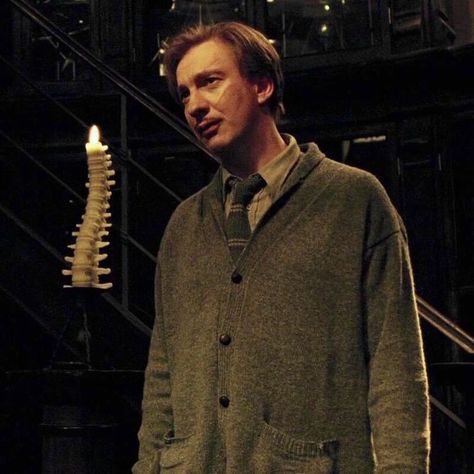 Remo Lupin, The Malfoys, Remus Lupin Moony, I Want To Be Happy, Lupin Aesthetic, Lupin Harry Potter, David Thewlis, Harry Porter, Remus And Sirius