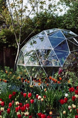 Greenhouse ideas | House & Garden Tulpen Arrangements, Conservatory Design, Dome Greenhouse, Tattoo Plant, West Facing Garden, Architectural Designer, Wooden Greenhouses, London Home, Dome House