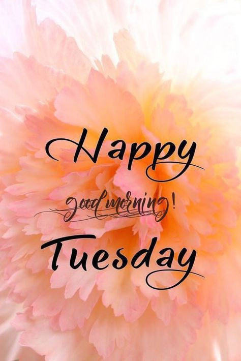 Cousin Aesthetic, Tuesday Morning Wishes, Thoughtful Tuesday, Good Morning Tuesday Wishes, Embrace Uncertainty, Happy Tuesday Morning, Time For New Beginnings, Tuesday Quotes Good Morning, Tuesday Greetings