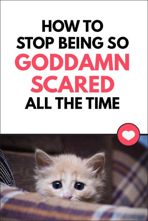 How To Stop Being Scared, Scared To Try Something New, How To Not Be Scared, Stop Being Scared, How To Not Be Scared At Night, It’s Ok To Be Scared Quotes, Stop Your Scaring Me Cat, Scared To Love, Tips To Be Happy