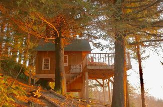 10 cool treehouses: These elevated vacation getaways are for rent - oregonlive.com Storm Watching, Oregon Forest, Visit Oregon, Treehouse Hotel, Bluebird House, Oregon Road Trip, Painted Hills, Forest Canopy, Gold Beach