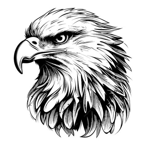 Premium Vector | Eagle vector illustration Eagle Illustration Design, Eagle Face Drawing, Eagle Face Tattoo, Eagle Drawings, Eagle Outline, Side Face Drawing, Eagle Sketch, Eagle Head Tattoo, Eagle Png