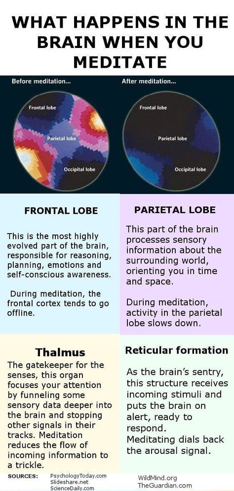 Trataka Meditation, Meditation Types, Musica Universalis, Meditation Movement, Parietal Lobe, Brain Knowledge, Reticular Formation, Meditation Workshop, Benefits Of Meditation