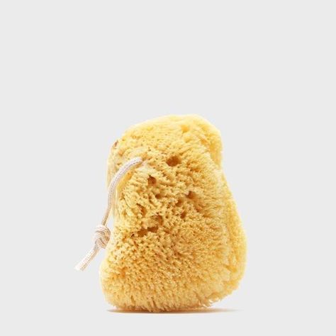 Pet Vitamins, Natural Sea Sponge, Shower Puff, Bath Sponges, Plastic Shower, Spray Sunscreen, Sea Sponge, Bamboo Toothbrush, Natural Bath