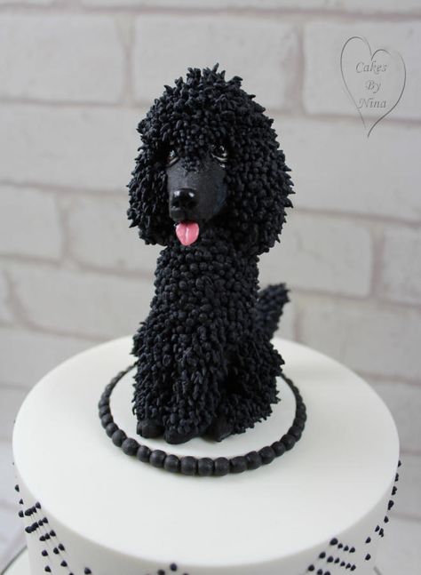 poodle cake - cake by Nina - CakesDecor Poodle Cake, Poodle Party, Puppy Obedience Training, Poodle Cuts, Black Poodle, Positive Dog Training, Easiest Dogs To Train, Poodle Grooming, Toy Poodles