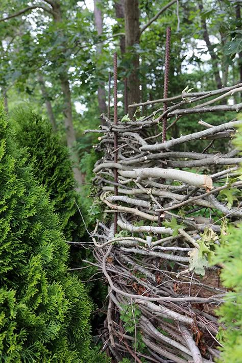 Making a rustic twig screen using sticks and rebar. Garden Projects Using Sticks And Twigs, Alternative Fence Ideas, Rustic Garden Fence, Diy Garden Fence, Twig Art, Diy Garden Trellis, Garden Obelisk, Natural Fence, Diy Backyard Landscaping