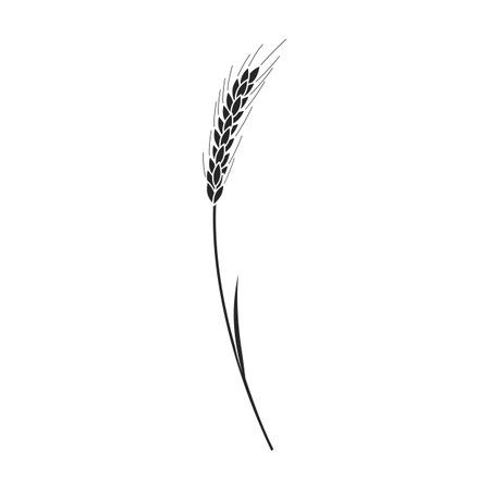 Minimal Wheat Tattoo, Wheat Stock Tattoo, Fine Line Wheat Tattoo, Wheat Grain Tattoo, Wheat Bundle Tattoo, Bundle Of Wheat Tattoo, Barley Tattoo, Wheat Tattoo, Ear Tattoo