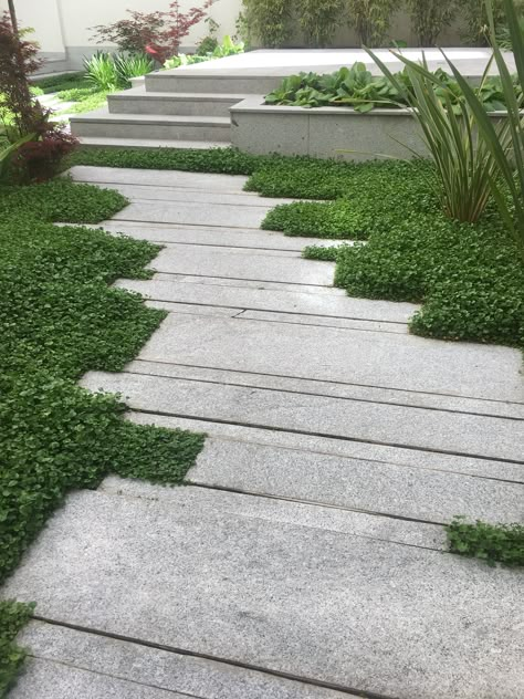 Modern Garden Path, Garden Paving Ideas, Walkway Landscaping, Paving Design, Garden Tiles, Walkways Paths, Garden Paving, Landscape Materials, Have Inspiration