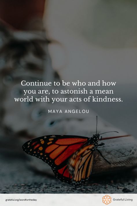 "Continue to be who and how you are, to astonish a mean world with your acts of kindness." -Maya Angelou  📷: Nathan Dumlao  #WordForTheDay #GratefulLiving #Gratitude #Gratefulness #Grateful #Quote #Quotes #DailyQuote #QuoteOfTheDay #GratitudePractice #GratitudeDaily #Kindness #Inspiration #Positivity #ActsOfKindness #Empathy Acts Of Kindness Quotes, Kind People Quotes, Generous Quotes, Words Of Kindness, Kind People, Acts Of Kindness, Kindness Quotes, Practice Gratitude, Maya Angelou