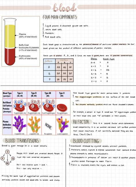 Learn Biology, Nursing School Essential, Nurse Study Notes, Nursing Schools, Medical Student Study, Medical Laboratory Science, Nursing School Survival, Study Flashcards, Lpn Nursing