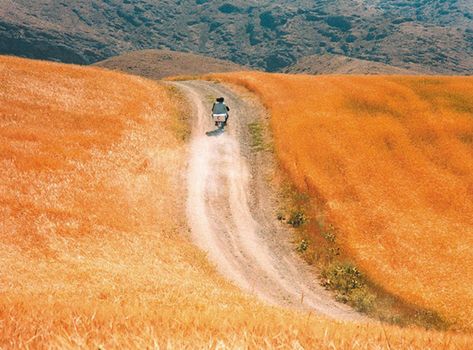 The Wind Will Carry Us, Iranian Cinema, Abbas Kiarostami, Iranian Film, Movie Directors, Film Archive, Ambient Music, History Of Photography, Samar