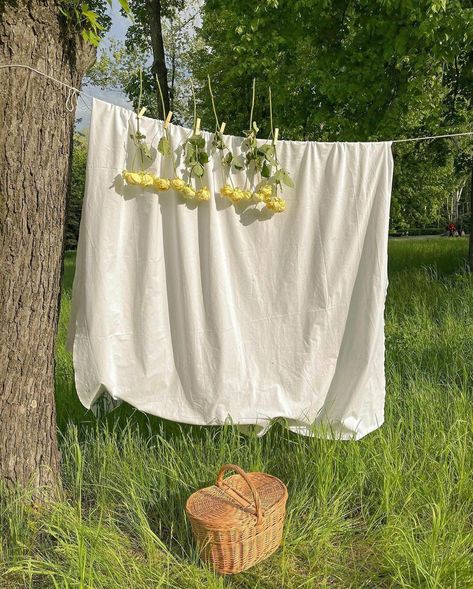 Cottagecore | cottagecoredream Photo Minimalism Inspiration, Outdoor Photoshoot Props Ideas, Tee Photoshoot, Picnic Baby Showers, Laundry Line, Outdoor Portraits, Fashion Photography Inspiration, Clothing Photography, Back To Nature