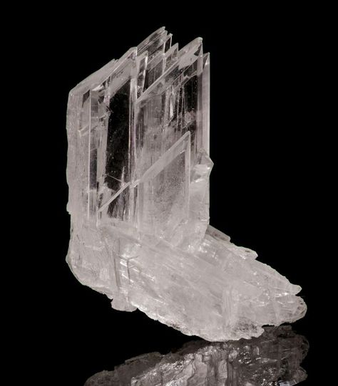 Gypsum var. Selenite - Naica, Chihuahua, Mexico - Bid on Mineralauctions.com Gypsum Mineral, Selenite Tower, Selenite Plate, Crystals Selenite, Selenite Affirmation Crystals, Fine Minerals, Mineral Specimen, Geology, Chihuahua