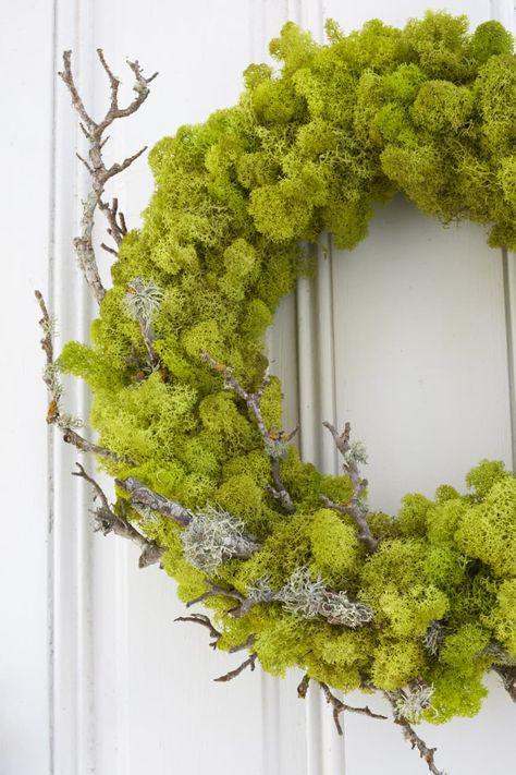 DIY Moss Wreath | Apartment Therapy Rustic Christmas Diy, Mos Wand, Moss Wreath Diy, Diy Moss, Diy Frühling, Living Wreath, Moss Wreath, Easter Spring Wreath, Plant Crafts