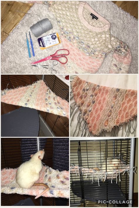 Diy Rat Accessories, Diy Rat Hammock, Diy Rat Cage Accessories Homemade, Diy Rat Toys Homemade, Diy Rat Cage Accessories, Rat Cage Diy, Diy Rat Toys, Rat Girl, Rat Care