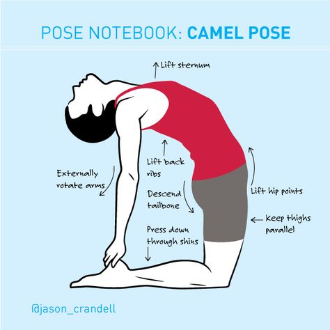 Yoga Pose Notebook: Ustrasana (Camel Pose) Evening Yoga Sequence, Camel Pose Yoga, Yoga Cues, Yoga Illustrations, How To Yoga, Yoga For Strength, Yoga Back, Yoga Website, Yoga Articles