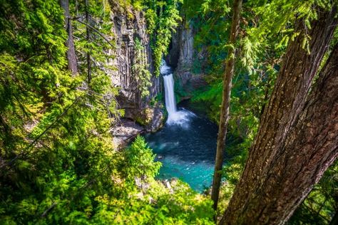 Visit Toketee Falls and Umpqua Hot Springs: trail, directions & things to do Toketee Falls, Umpqua Hot Springs, Autumn Travel, Oregon Life, Oregon Waterfalls, Famous Waterfalls, Pocono Mountains, Crater Lake National Park, Time To Travel