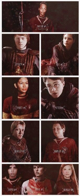 Gryffindor Quidditch Team Slytherin Quidditch Team, Aesthetic Gryffindor, Quidditch Aesthetic, Gryffindor Quidditch Team, Quidditch Gryffindor, Hogwarts Is My Home, Gryffindor Quidditch, Film Harry Potter, Harry Potter Quidditch