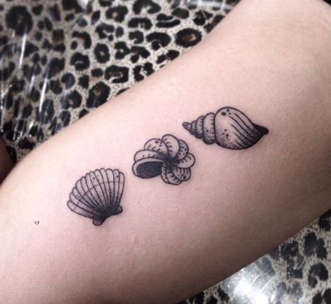 Marina Tattoo, Tropical Tattoo, Seashell Tattoos, Shell Tattoos, Stick N Poke, Muster Tattoos, Mermaid Tattoos, E Tattoo, Tattoo Feminina