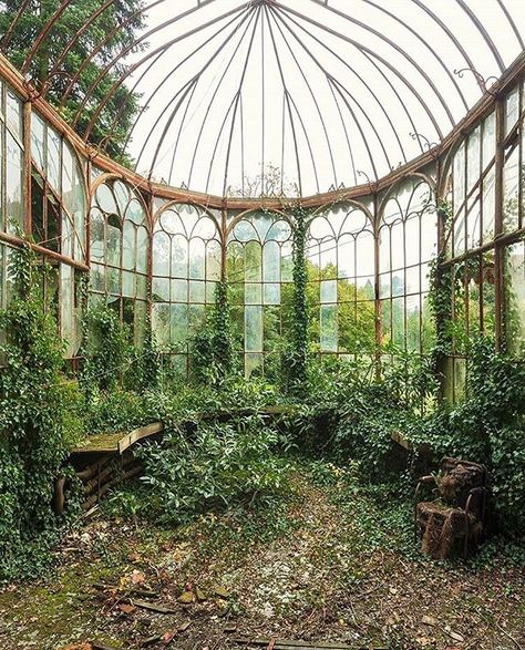 Dolores Costello Abandoned Conservatory, Abandoned Greenhouse, Ask The Dust, Conservatory Greenhouse, Urban Exploring, Time Stood Still, Parc D'attraction, Twelfth Night, Indoor Gardens