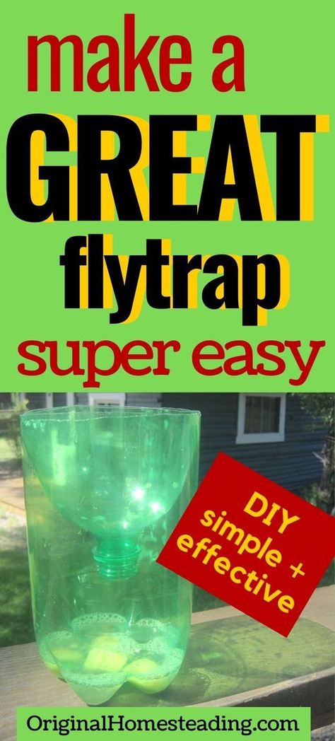 Learn how to make the best DIY Flytrap ever. Simple instructions with recipe for non-toxic bait without vinegar. This outdoor fly trap works in barns, on patios and deck as well as porches and in backyards. Make the inexpensive easy flytrap today! #Pests #FlyTrap #HomemadeFlytrap #OriginalHomesteading Home Made Fly Trap, Dyi Fly Trap, Flies Trap Diy, Homemade Fly Traps, Homestead Diy, Diy Fly Trap, Fly Infestation, Fly Bait, Grape Uses