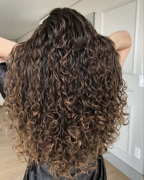 Dark Curly Hair, Dyed Curly Hair, Highlights Curly Hair, Brown Curly Hair, Brown Hair Inspo, Curly Hair Photos, Colored Curly Hair, Caramel Hair, Hairdos For Curly Hair