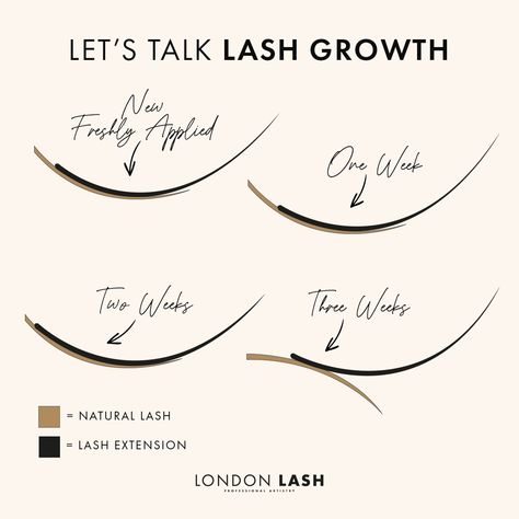 Lashes Ideas Instagram, Lash Introduction, Lash Rules, Lash Page Content, Mini Lash Studio, Lashes Extensions Aftercare, Lash Post Ideas, Lash Fills 40%, Lash Content Ideas For Instagram