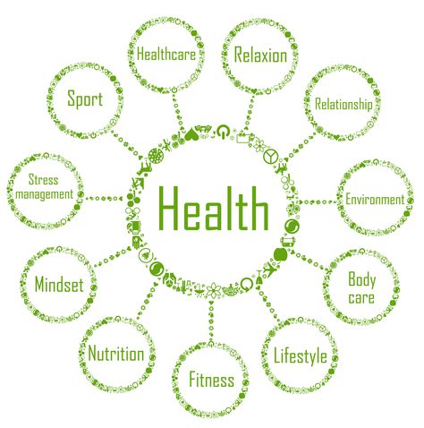 Health Links and Resources Page  Food and Recipes, Community Resources Recommended Books and Website Links. Herbalife Quotes, Healthy Motivation Quotes, Herbalife Motivation, Community Resources, Health Facts Fitness, Fitness Content, Nutrition Club, Super Images, Nutrition Coaching