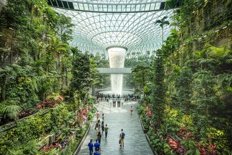 From magical light installations in an arboretum to a giant greenhouse in an airport, places around the world go green. Giant Greenhouse, Airport Immigration, Greenhouse Academy, Christian Country, Singapore Changi Airport, Architecture Portfolio Layout, Istanbul Airport, Dubai International Airport, Magical Light