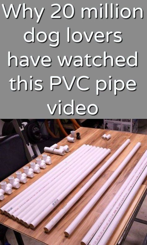 This is SO cool! Pvc Pipe Projects, Pvc Projects, Dog Wash, Dog Shower, Christmas Decorations Diy Outdoor, Dog Bath, Dog Info, Dog Agility, Diy Dog