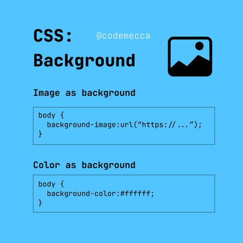 Html Wallpaper, Css Tips, Css Programming, App Development Design, Learn Html And Css, Css Code, Basic Computer Programming, Coding Lessons, Web Development Programming