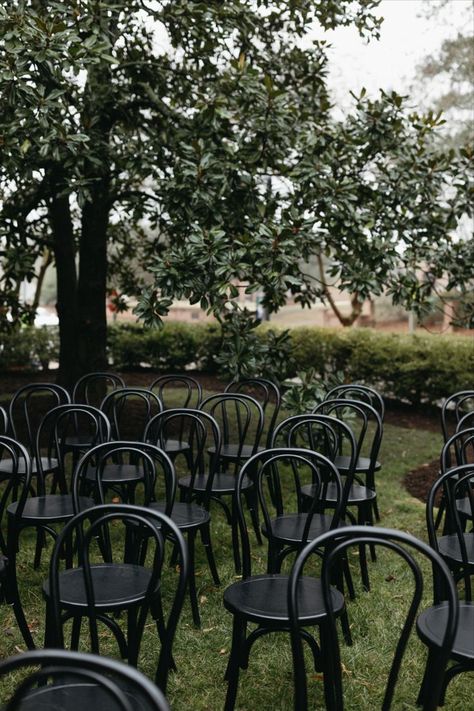 Black bentwood ceremony chairs are staggered for a wedding ceremony. The chairs are placed in the grass near a magnolia tree. The yard is lined in mulched flower beds with low cut bushes. Black Ceremony Chairs, Black Ceremony, Wedding Cermony, Wedding Ceremony Chairs, Ceremony Chairs, Magnolia Tree, Wedding Options, Yard Wedding, Ceremony Seating