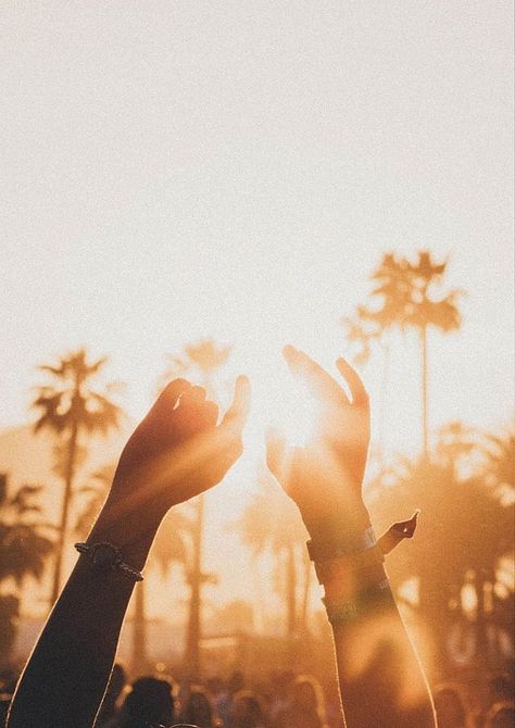 Dreamy Coachella shots that make you want to go right now Coachella Background, Coachella Photography, Music Festival Photography, Coachella 2018, Jungle Music, Coachella Vibes, Festival Photography, Coachella Music, Edm Music