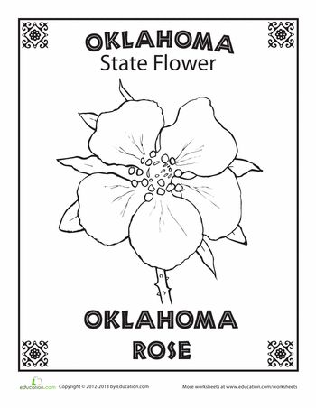 Worksheets: Oklahoma State Flower Oklahoma Rose Tattoo, Mushrooms Coloring Pages, State Report Projects, Flower Worksheet, Oklahoma City Things To Do, Oklahoma Tattoo, Oklahoma Rose, Classroom History, State Project