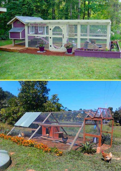 How about saving money and using mostly nets to build a chicken coop in an airy cool yard? Try out this idea - Building a chicken coop is a fairly simple weekend woodworking project. The free chicken coop plans below include blueprints, material lists, and building instructions, making it an easy and low-cost option over buying a chicken coop. #chickencoop #backyardideas #chickencoopplans #farmfoodfamily Duck Run, Easy Diy Chicken Coop, Backyard Chicken Coop, Tiny Backyard, Chicken Barn, Pets At Home, Portable Chicken Coop, Backyard Chicken Coop Plans, Urban Chickens