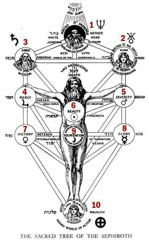 Science Psychology, Geometry Symbols, Alchemy Art, Sacred Science, Sacred Geometry Symbols, Occult Symbols, Sacred Tree, Alchemy Symbols, Esoteric Art