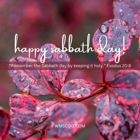 The Sabbath, central to Christianity, is a day of rest and worship set by God, as commanded in the Bible. It's a day for believers to rest and reaffirm their faith. ‘Remember to observe the Sabbath day by keeping it holy...the seventh day is a Sabbath day of rest dedicated to the LORD your God.’ (Exodus 20:8–10 NLT) The biblical Sabbath is Saturday. The World Mission Society Church of God observes it to receive God's blessings and rest. #WMSCOG #SabbathDay #Blessings #WATV Blessed Sabbath, Things To Do On Sabbath Day, Sabbath Greetings, Friday Sabbath Preparation Day, Remember The Sabbath Day To Keep It Holy, Preparation Day Sabbath, Saturday Sabbath, How To Observe The Sabbath, Plan Of Salvation