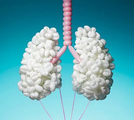 Balloon-twisted lungs and guts | Boing Boing Inflatable Art, Balloon Sculptures, Lungs, Instagram Art, Top 100, Anatomy, Balloons