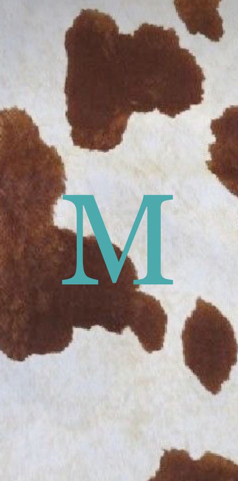 Longhorn Cow Wallpaper Iphone, Cowgirl Screen Savers, Cowgirl Background Aesthetic, Pastel Western Aesthetic, Western Fall Background, Western Home Screen Widgets, Western Summer Wallpaper, Country Pfp Aesthetic, Western Asthetics Wallpaper