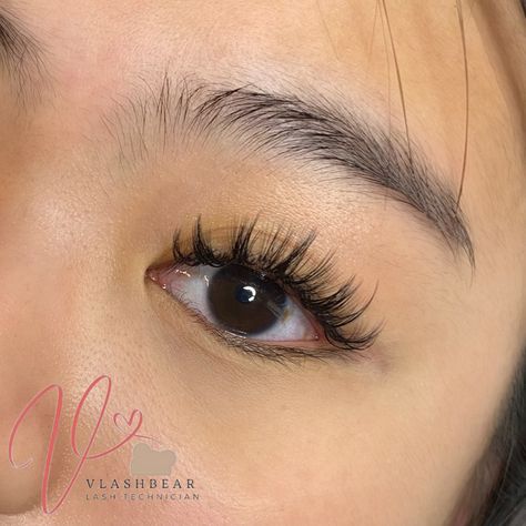 Wispy Lashes Asian Eyes, Anime Manga Lashes Extensions, Lash Extensions Asian Eyes Monolid, Lash Extension For Asian Eyes, Wispy Anime Lashes, Lashes For Monolid Eyes, Eyelash Extensions Monolid Eyes, Anime Eye Lashes Extensions, Lash Map For Asian Eyes