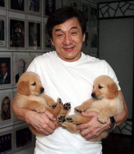 Holding Puppy, Celebrity Dogs, Hapkido, Cute Little Puppies, Man And Dog, Jackie Chan, Celebrity Moms, Celebrity Dads, Little Puppies