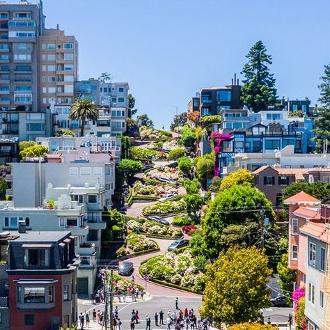 City Lights Bookstore, Visit San Francisco, Lombard Street, Famous Photos, Visit California, San Fran, Photo Location, California Travel, Cityscape