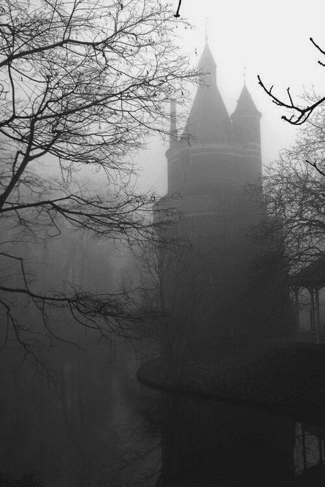 Paradis Sombre, Images Terrifiantes, Spooky Places, Foggy Forest, Gothic Aesthetic, The Fog, Haunted Places, Dark Places, Dark Photography