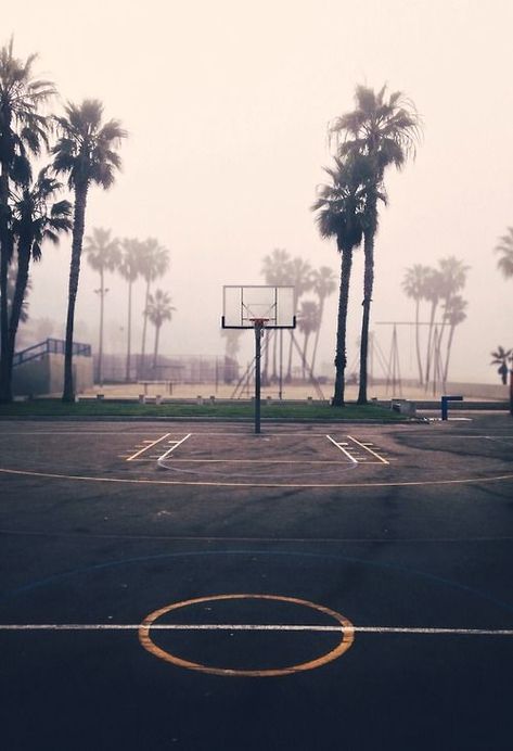 money trees Venice Beach, Venice, Basketball Court, Nba, Basketball