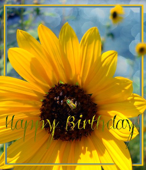 Happy birthday                                                                                                                                                     More Sunflower Birthday Wishes, Happy Birthday Sunflower, Bday Pictures, Birthday Sunflower, Wish Happy Birthday, Birthday Greetings Friend, Happy Birthday Wishes Photos, Happy Birthday Art, Happy Birthday Greetings Friends