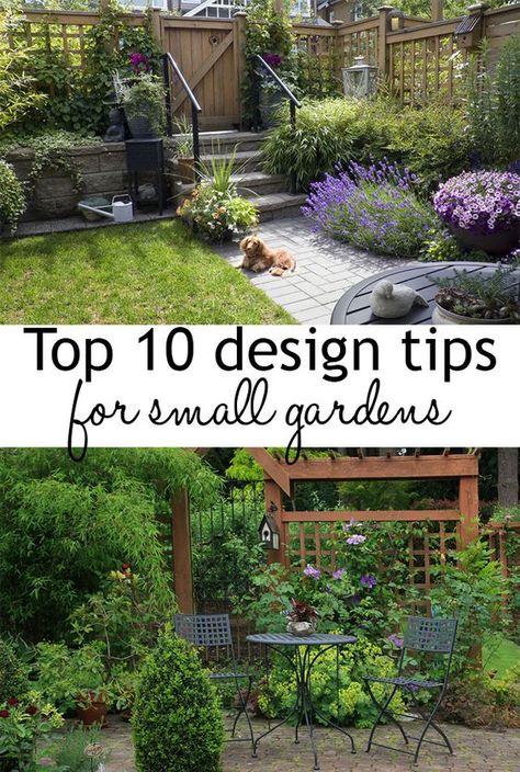 Have Inspiration, Small Space Gardening, Small Garden Design, Small Backyard Design, Courtyard Garden, Garden Cottage, Back Garden, Small Backyard Landscaping, Small Gardens