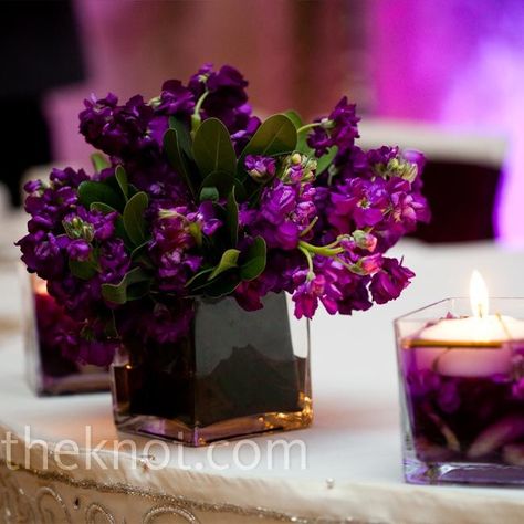 Purple Wedding Flowers Centerpieces, Short Centerpieces, Purple Centerpieces, Purple Wedding Decorations, Vase Centerpiece, Purple Color Schemes, Purple Wedding Flowers, Square Vase, Flower Centerpieces Wedding