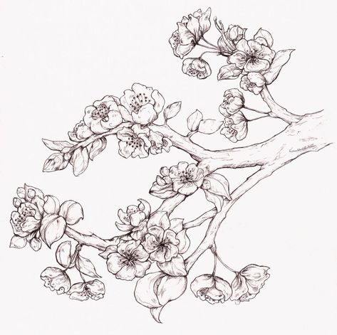 Tattoo Ideas Cherry, Apple Tree Tattoo, Apple Blossom Tattoos, Apple Tree Drawing, Family Tree Embroidery, Olive Tree Tattoos, Tree Tattoo Ideas, Tree Carvings, Apple Tree Blossoms