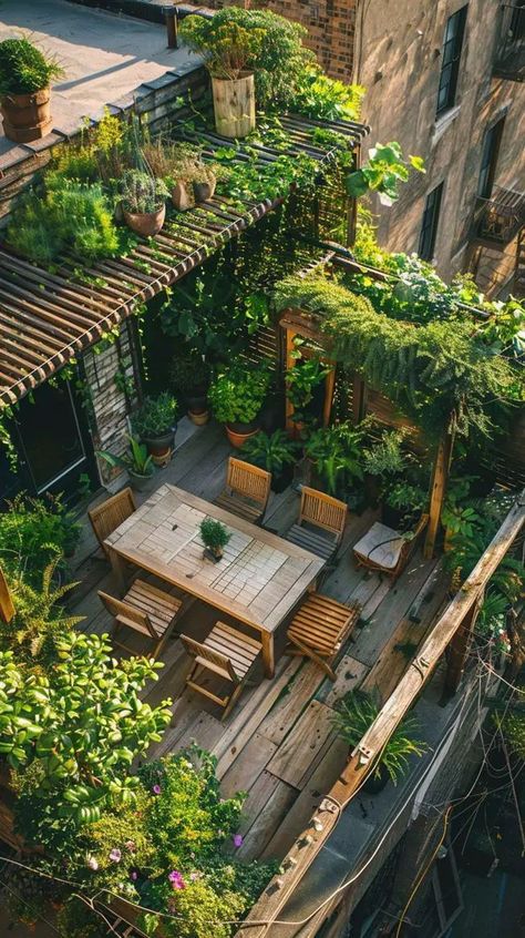 Rooftop Solarium, Small Rooftop Ideas, Tiny Terrace, Apt Aesthetic, Small Rooftop, Urban Terrace, Terrace Designs, Rooftop Ideas, Apartment Rooftop