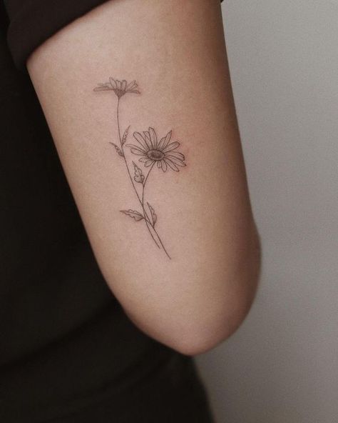 Blooming Daisy Tattoo, Daisy Tattoo Back Of Arm, Flower Tattoos Daisies, Gerber Flower Tattoo, Botanical Daisy Tattoo, Whimsical Daisy Tattoo, Daisy Stem Tattoo, Daisy Flower Bouquet Tattoo, Marguerite Daisy Tattoo